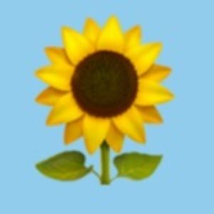 Meet your Posher, Lilly